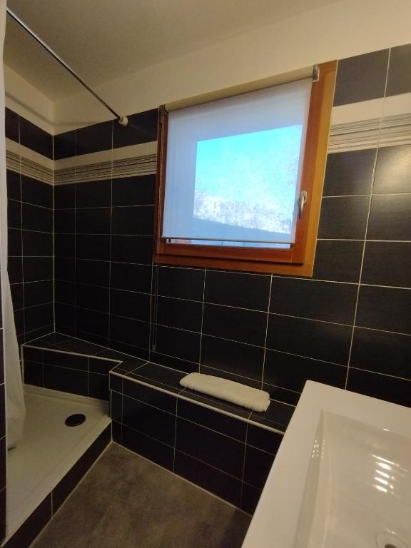 Koupelna v ubytování La Terrasse des Ecrins