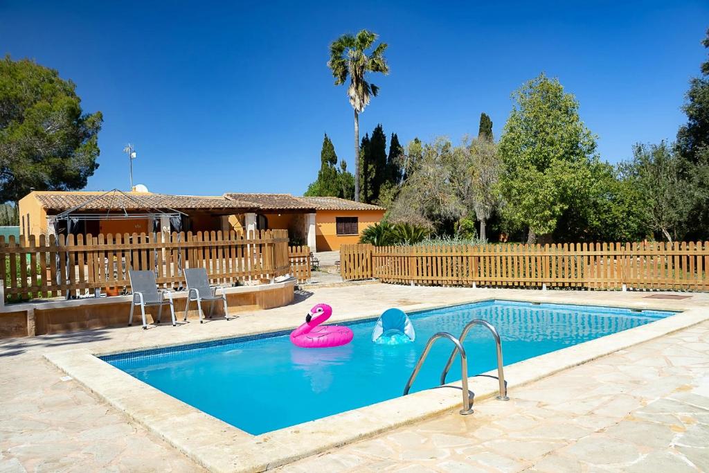 une piscine avec deux flamants roses gonflables dedans dans l'établissement Son Peretó Petit, à Manacor
