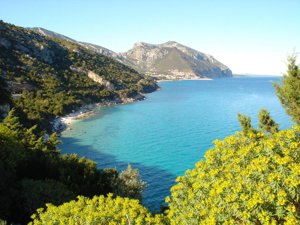 a view of a large body of water with yellow flowers at Casa Degli Oleandri Sul Cortile R6314 in Cala Gonone