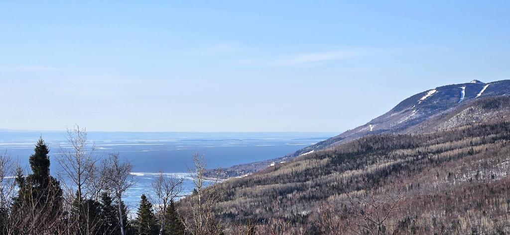a view of a mountain with trees and a lake at Bleuzen appartement du haut in Petite-Rivière-Saint-François