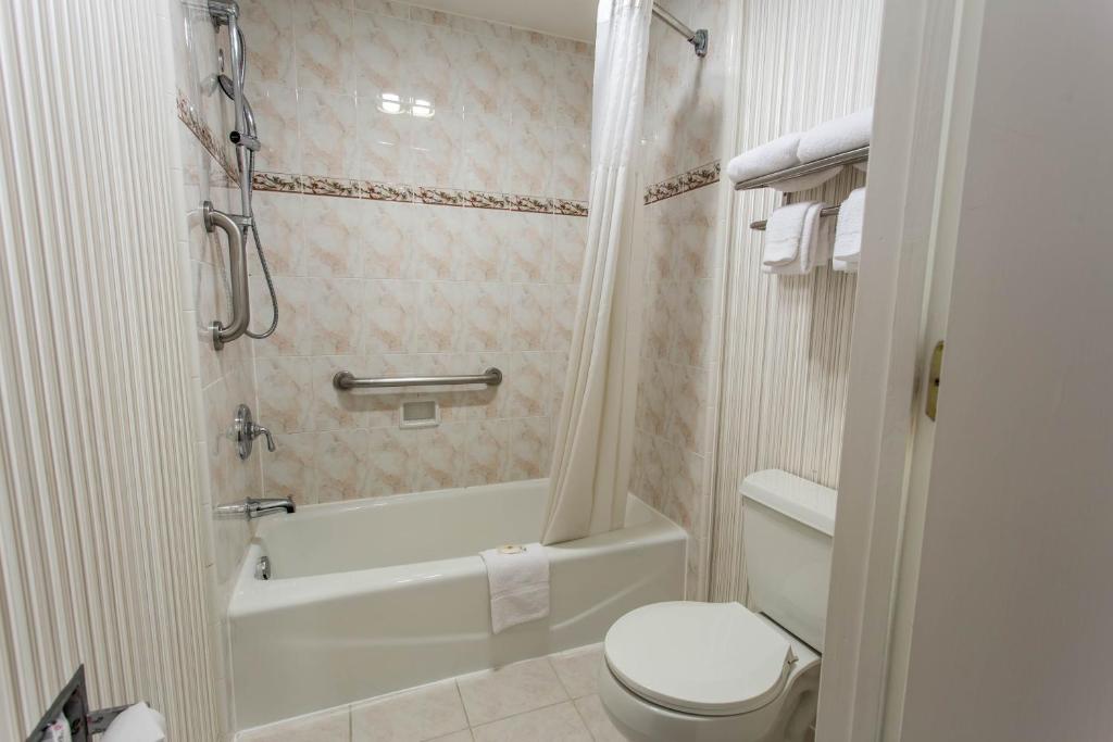 Comfort Inn Palo Alto photo