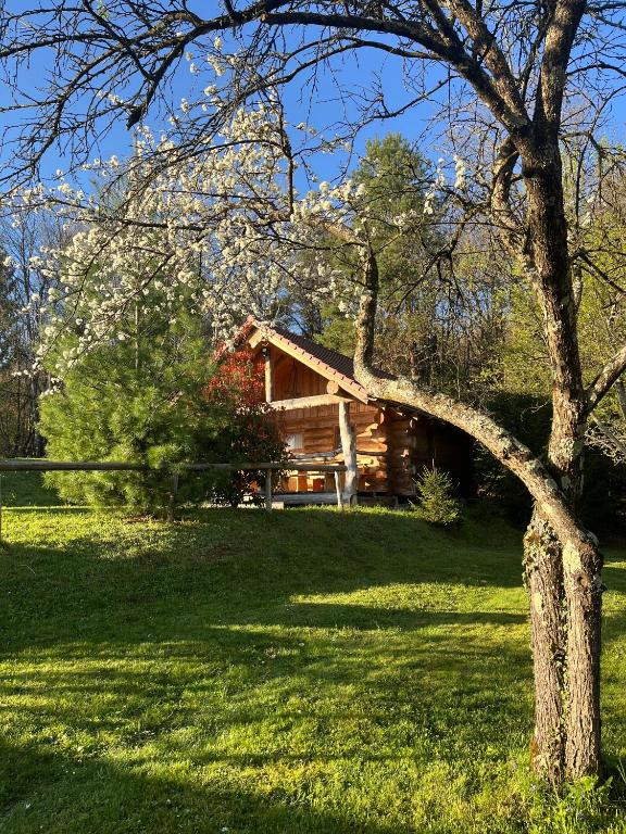 Zahrada ubytování Hut at the forest