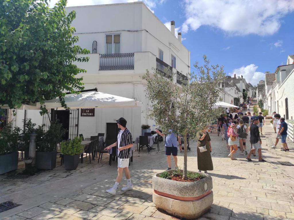 Noù la tua casa in Puglia - 1