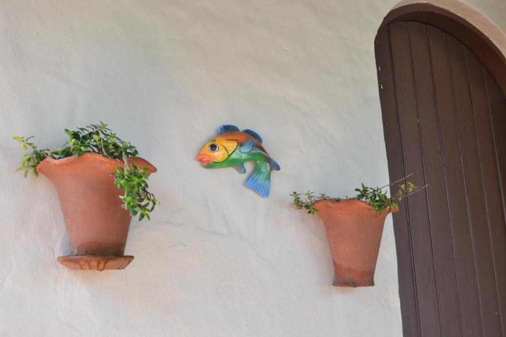  Casa Alameda Nativa