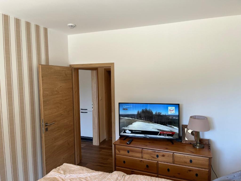TV a/nebo společenská místnost v ubytování Apartmán Hruška Černý Důl