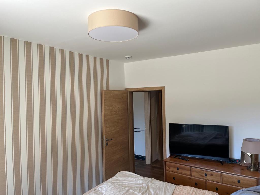 TV a/nebo společenská místnost v ubytování Apartmán Hruška Černý Důl