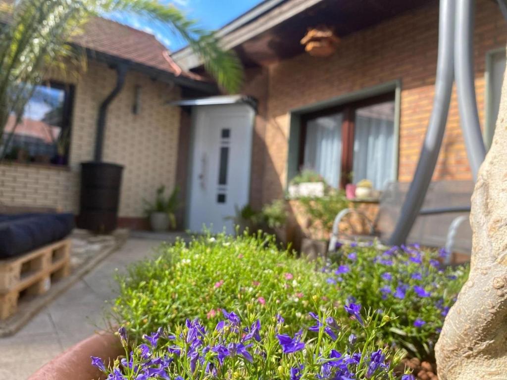 Gallery image of Ferienwohnung Joli in Weißenfels