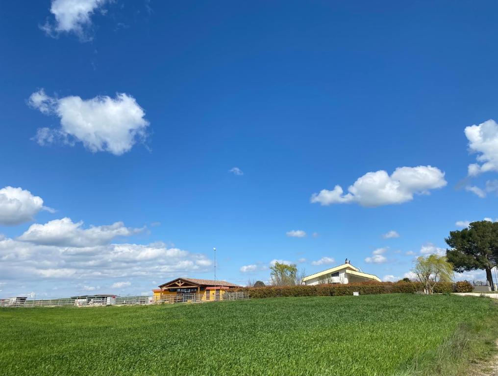 Naturlandskabet i nærheden af feriegården