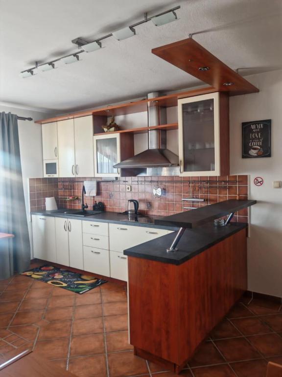 Kuchyň nebo kuchyňský kout v ubytování Apartman Kristian Zagreb Airport