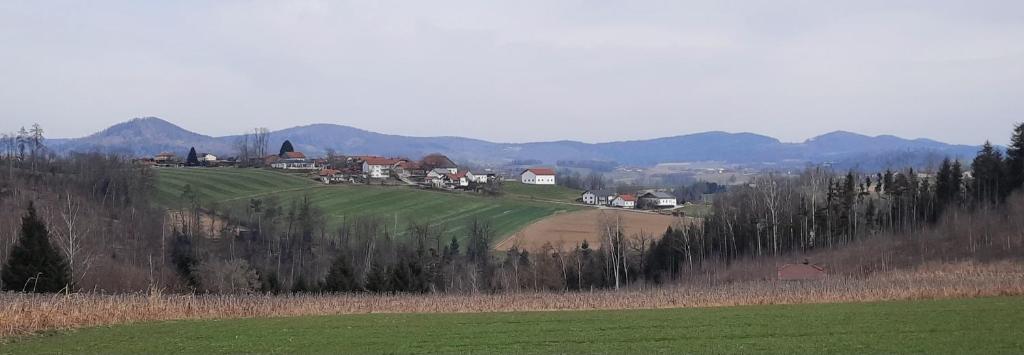Příroda nedaleko apartmánu