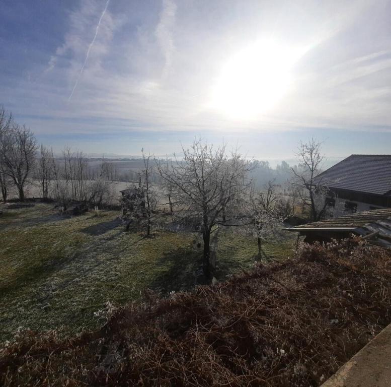 Příroda nedaleko apartmánu