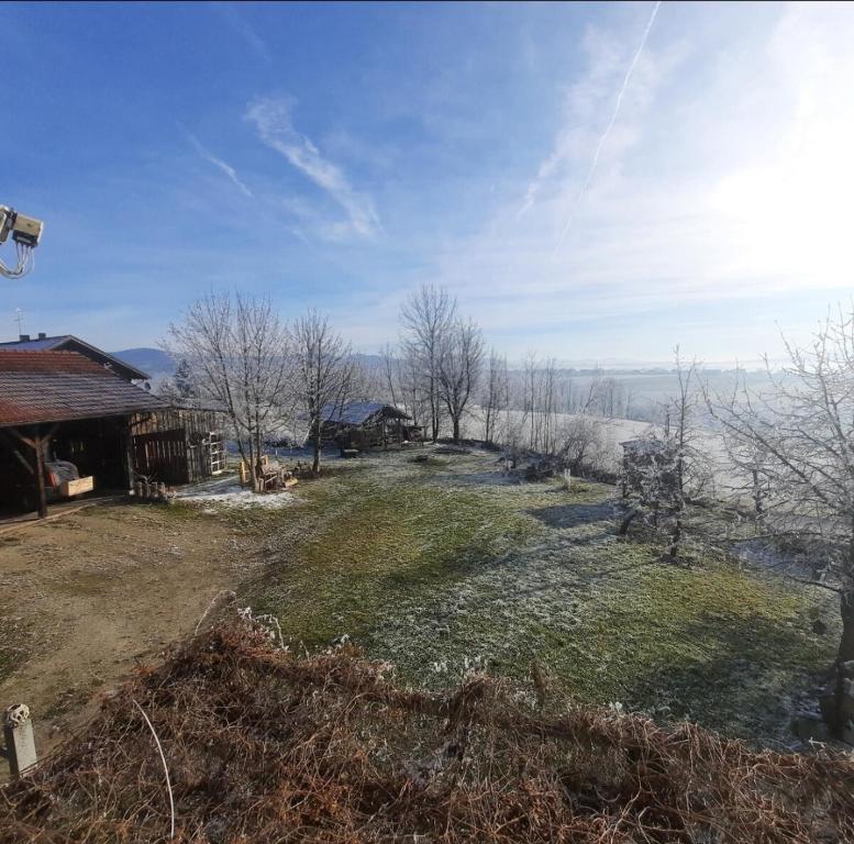 Příroda nedaleko apartmánu