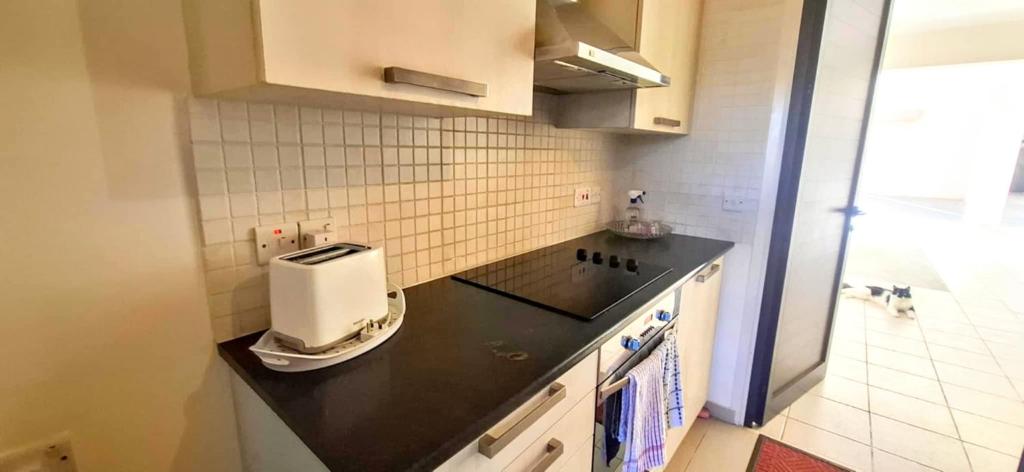 a kitchen with a counter top with a toaster on it at AFRODITI APARTMENTs in Perivolia