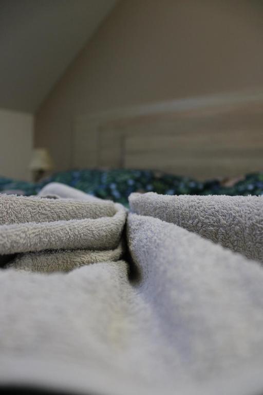 Fotografie z fotogalerie ubytování Apartman Paula 1 v Podhájské