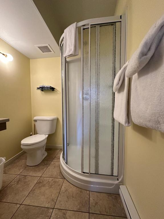 Auberge aux Deux Lions - Resim 17