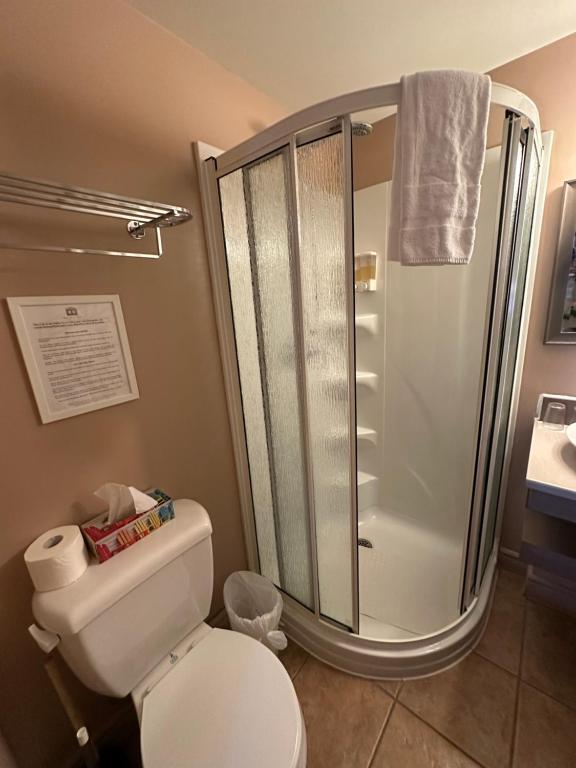 Auberge aux Deux Lions - Resim 13