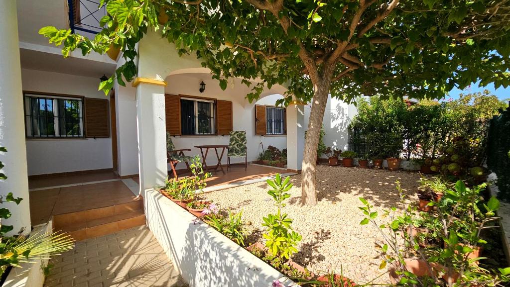 a house with a tree in the courtyard at Apartamento de 2 dormitorios en Veramar 5 Primera Linea de Playa in Playas de Vera