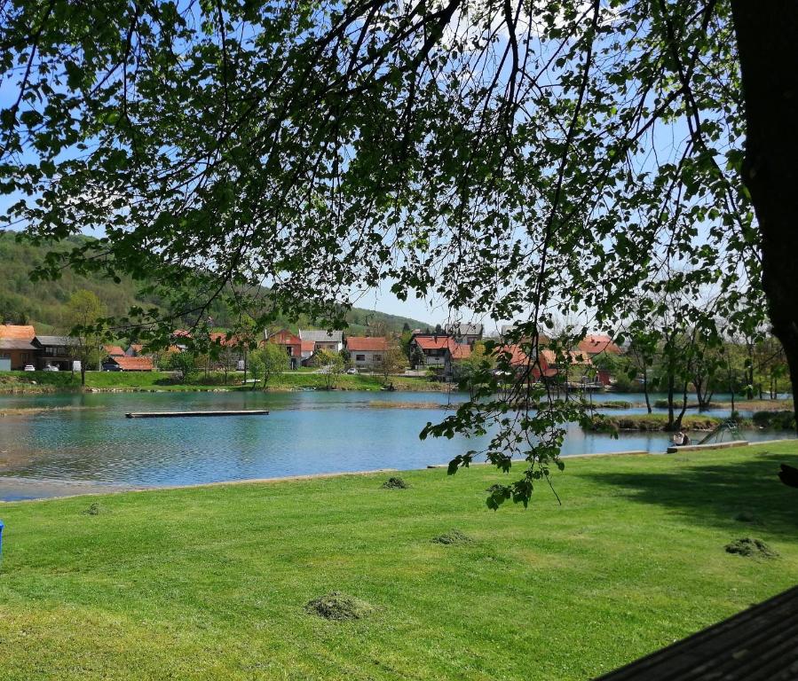 a view of a river with a park with a tree at Apartman Artem in Duga Resa