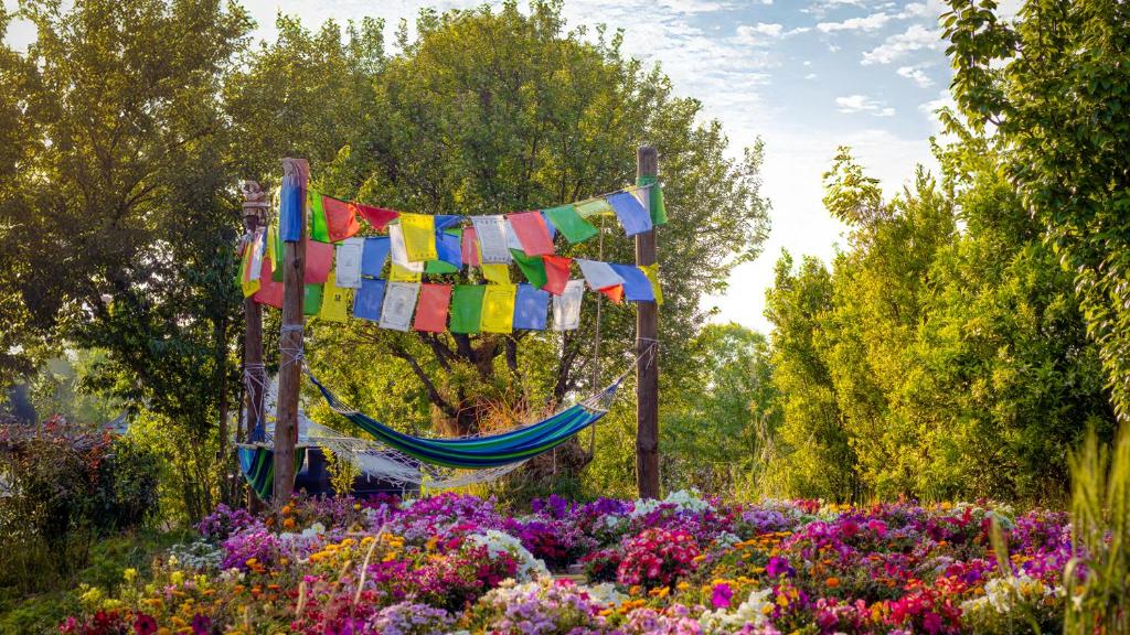 a hammock in a garden with flowers and trees at Dormigo in Bīr