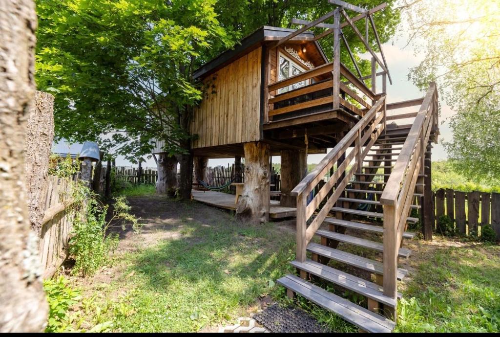 Zahrada ubytování Podlasie Domek na drzewach