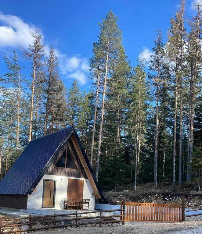 Peisaj natural din apropierea acestei case de vacanță