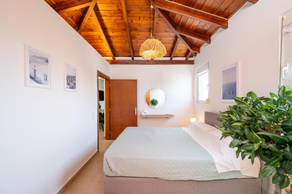 a bedroom with a bed and a potted plant at Aeolos Loft - 3 min Walk to Beach & Town in Kos