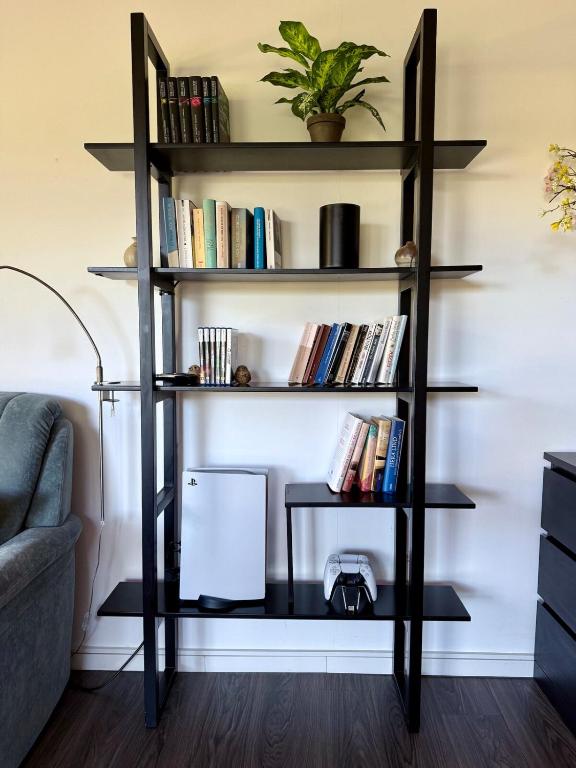 Knihovna v apartmánu