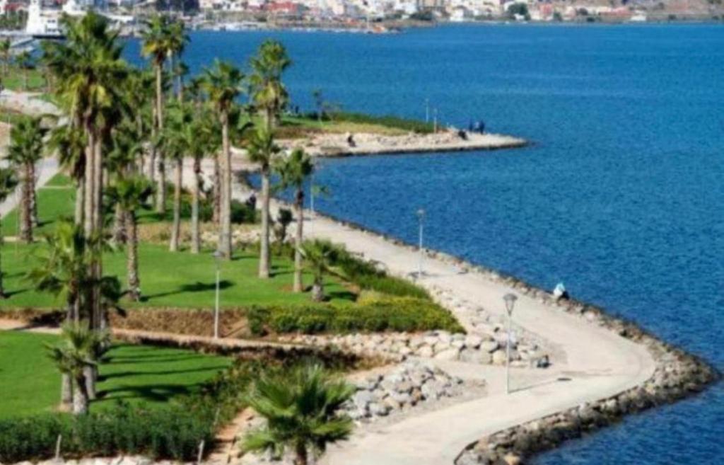 a beach with palm trees next to the water at Nador corniche gare in Nador