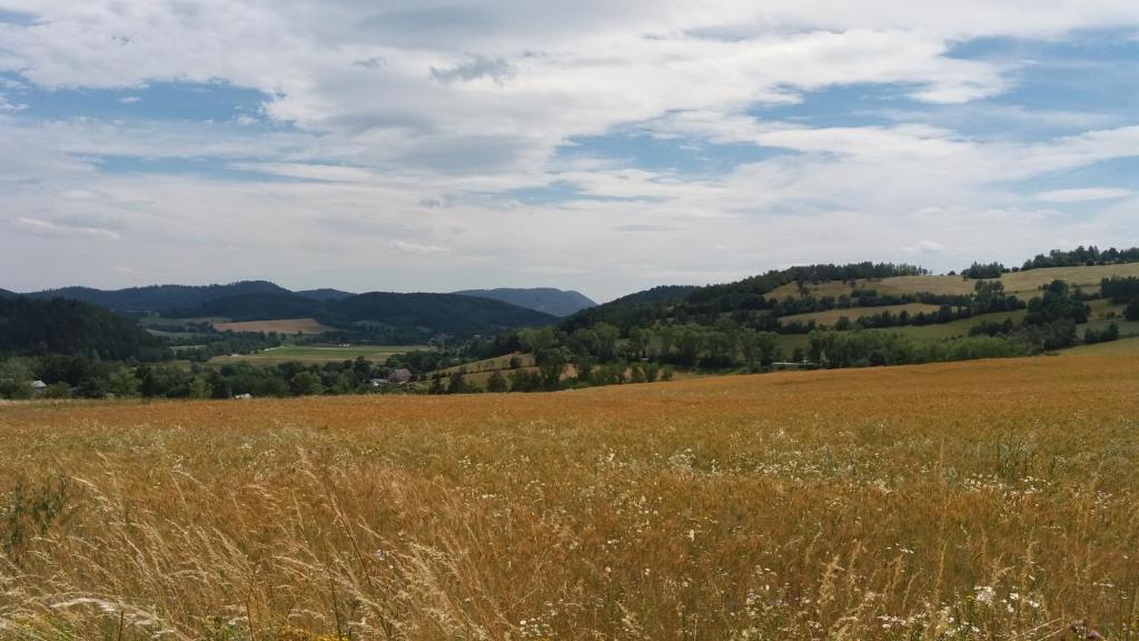Príroda v okolí dovolenkového domu