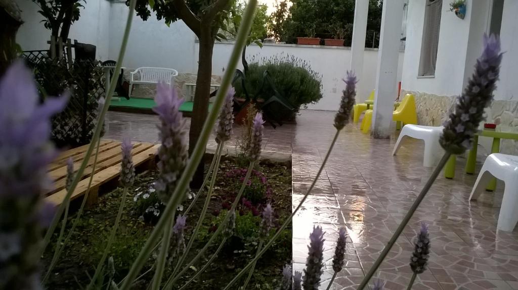 Zahrada ubytování B&B Fenice Barocca