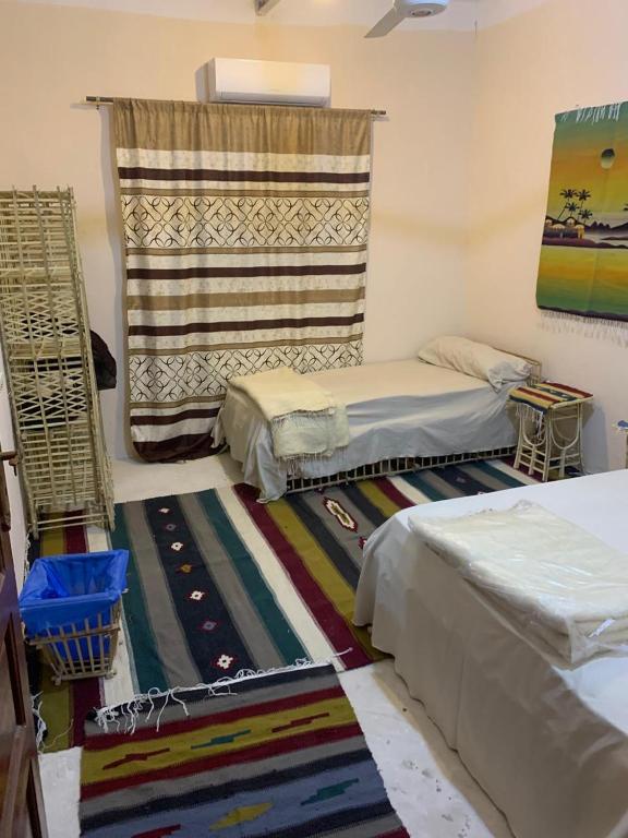 Shahd Siwa