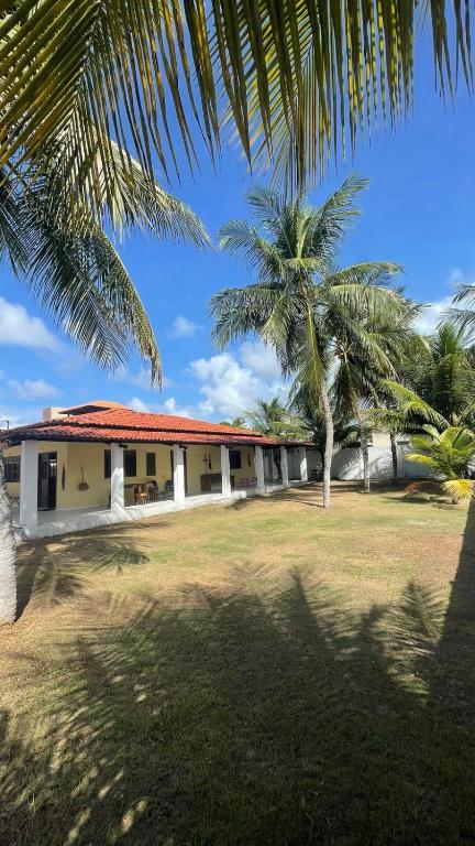a building with a palm tree in front of it at Casa do Arnaldinho in São Miguel dos Milagres