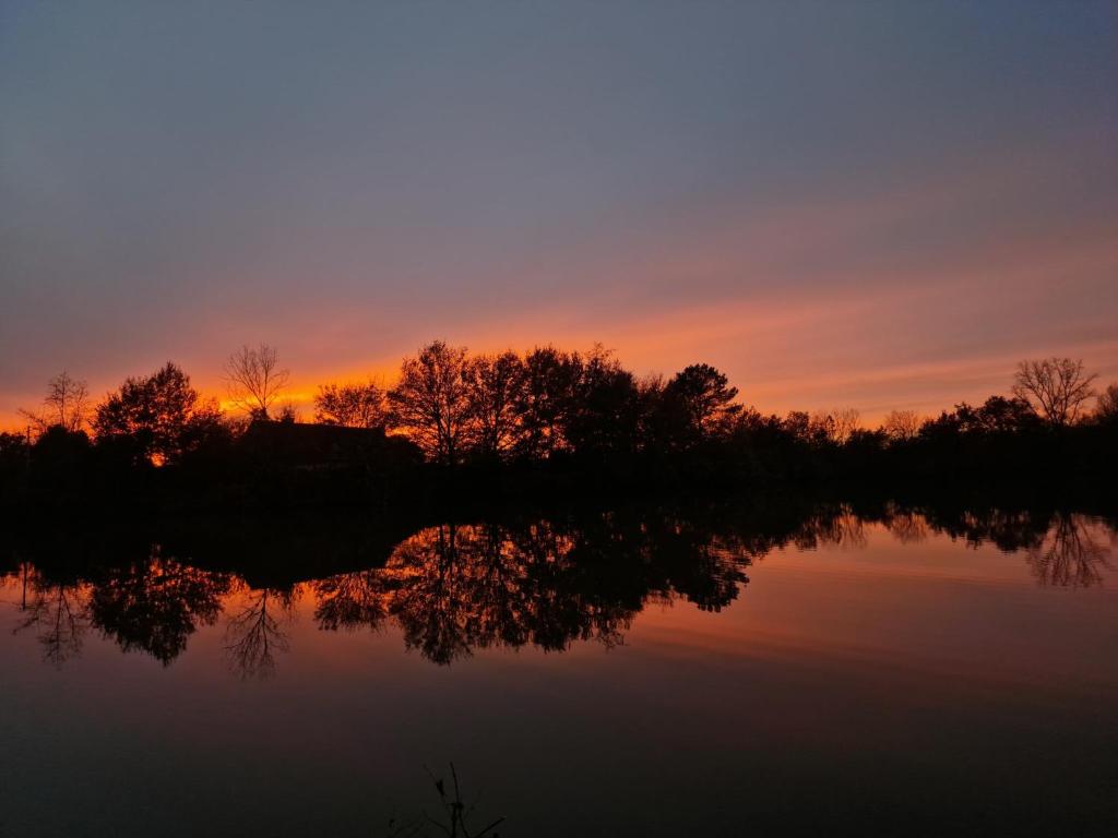 un coucher de soleil sur un lac avec des arbres réfléchissant dans l'eau dans l'établissement Bungalow 2 en bordure de lac accès jacuzzi, à Beaupouyet