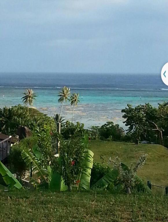Ocean Plateau - photo 11 - Moorea, Polynésie