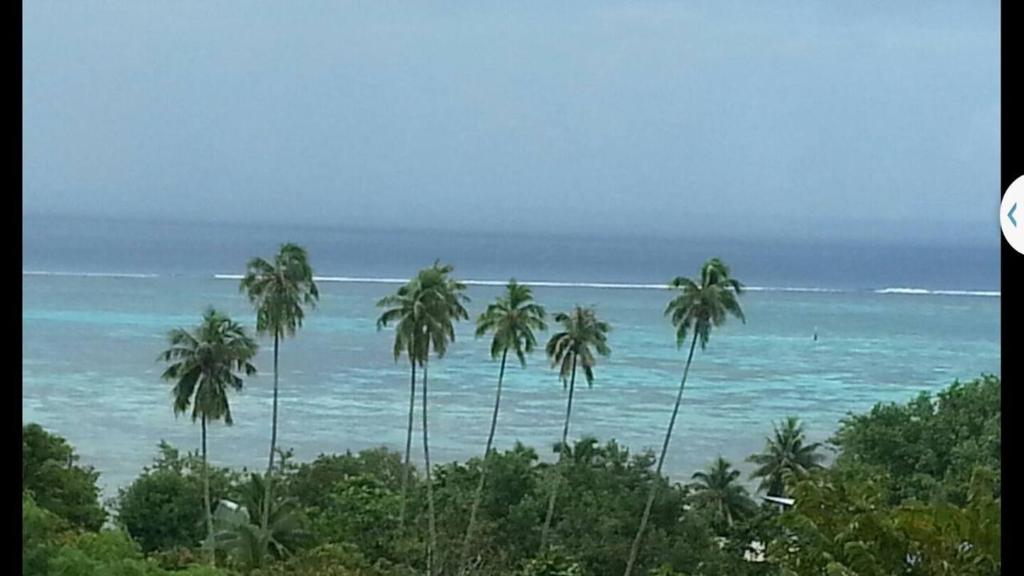 Ocean Plateau - photo 12 - Moorea, Polynésie