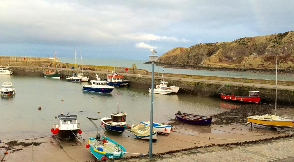 a group of boats are docked in a harbor at Harbour View 23 Shorehead in Stonehaven