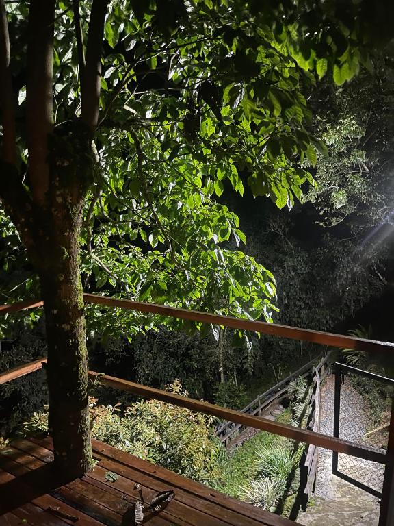 Foto sihtkohas Pereira asuva majutusasutuse Glamping La Reserva galeriist