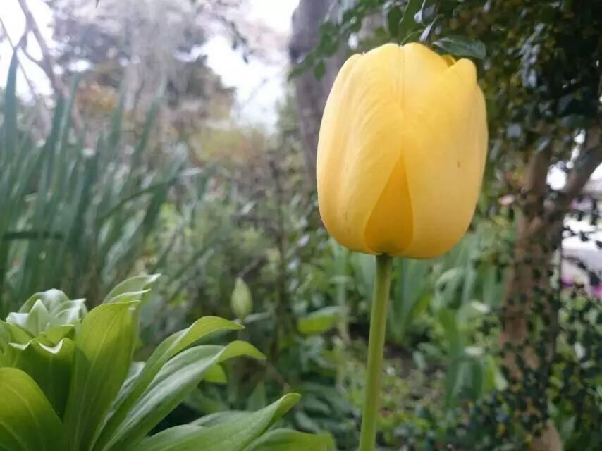 Queens Park Motels - Resim 45