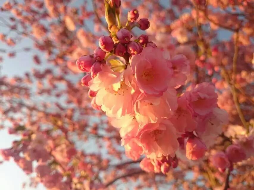 Queens Park Motels - Resim 43