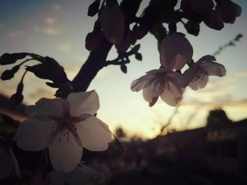 Queens Park Motels - Resim 44