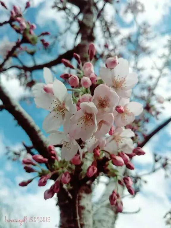 Queens Park Motels - Resim 42