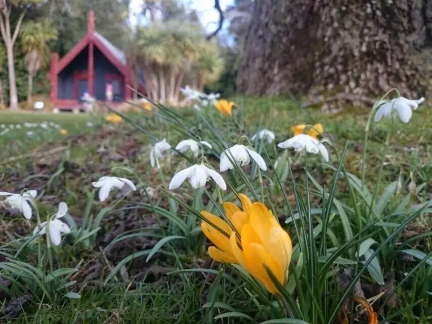 Queens Park Motels - Resim 41