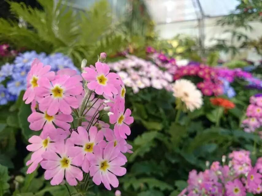 Queens Park Motels - Resim 40