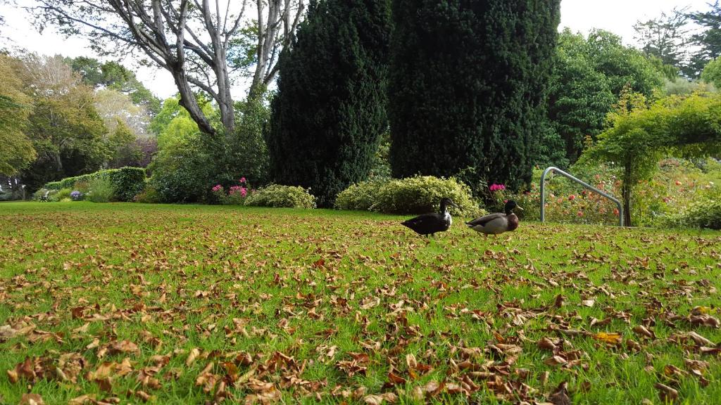 Queens Park Motels - Resim 33