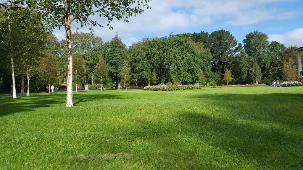 Queens Park Motels - Resim 31