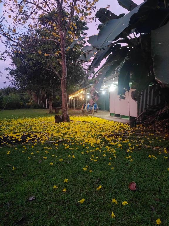 Zahrada ubytování Glamping y Camping Zompopas Trails Costa Rica