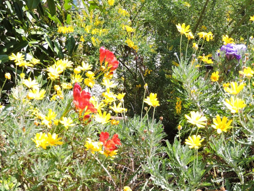Giardino di Casale Fedele Family Relax B&B Vicino al Borgo