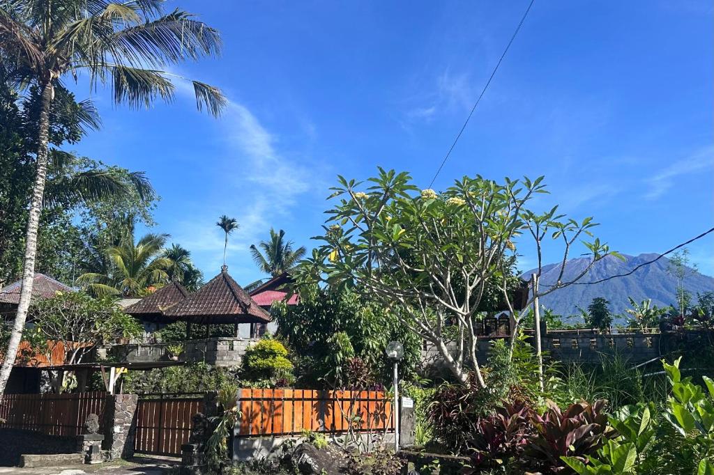 Naturlandskabet i nærheden af den private indkvartering