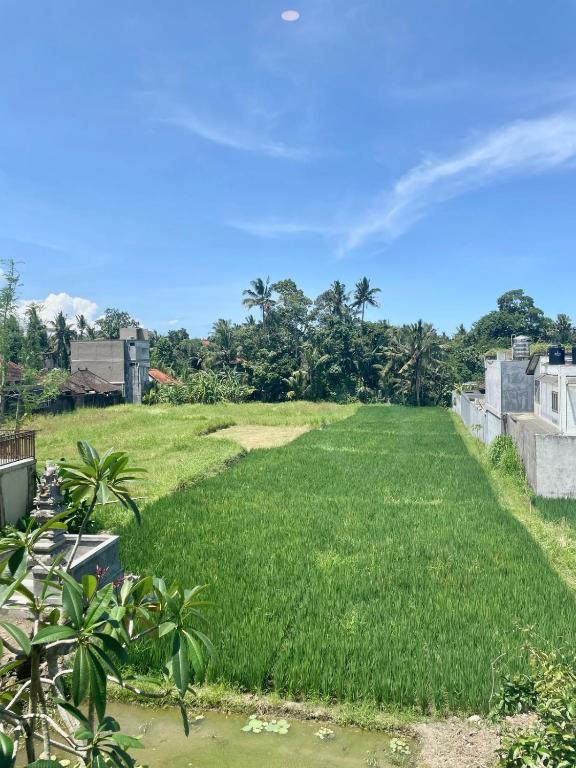 Zahrada ubytování Nirana Ubud