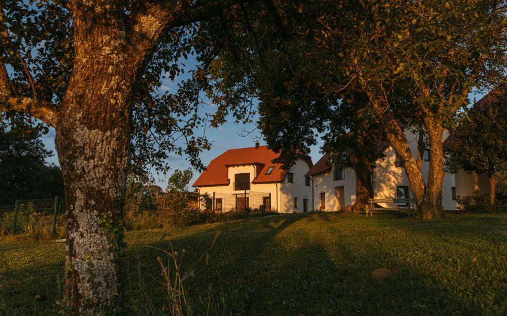 Zahrada ubytování Hiša na Ravnah